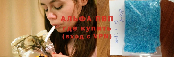 спиды Новодвинск