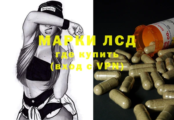 ГАЛЛЮЦИНОГЕННЫЕ ГРИБЫ Чердынь