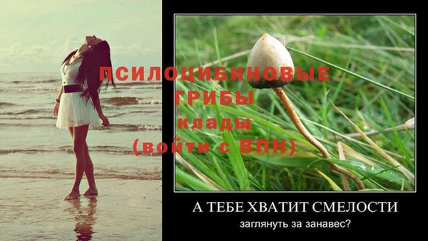 прущая мука Новокубанск