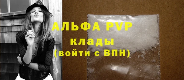 спиды Новодвинск