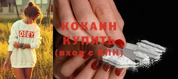 спиды Новодвинск