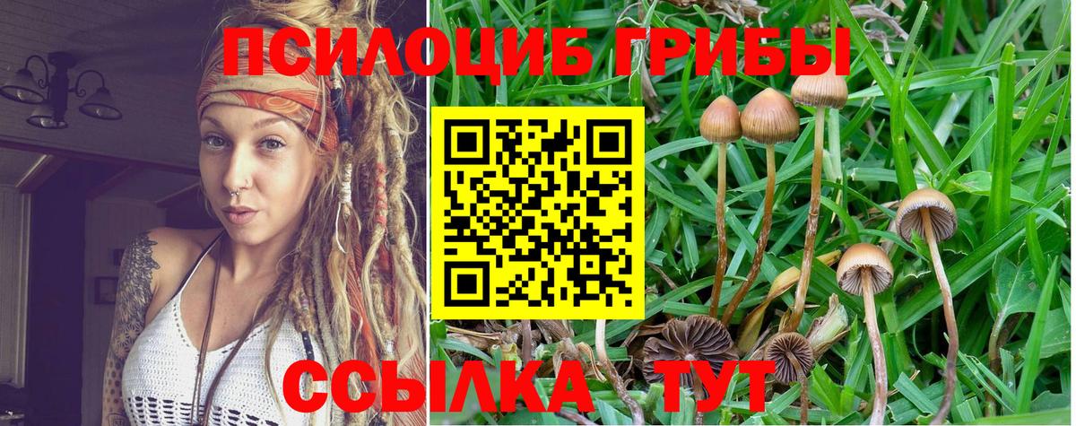 Галлюциногенные грибы MAGIC MUSHROOMS  Вход с VPN  Кириши 