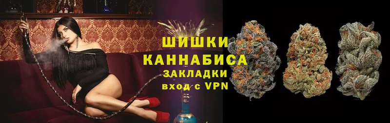 Конопля SATIVA & INDICA  Кириши 